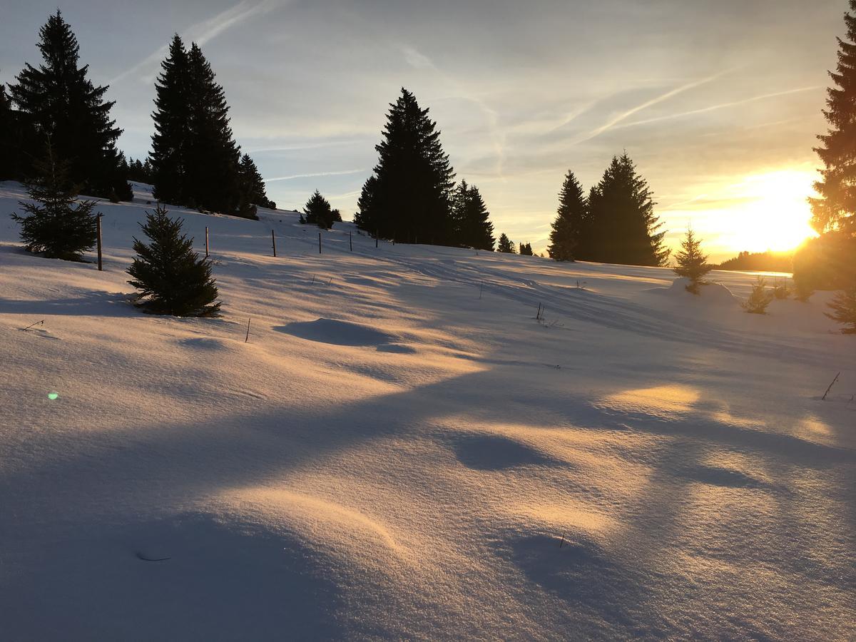 Schwarzwald-Hotel Kraeutle Feldberg  Dış mekan fotoğraf